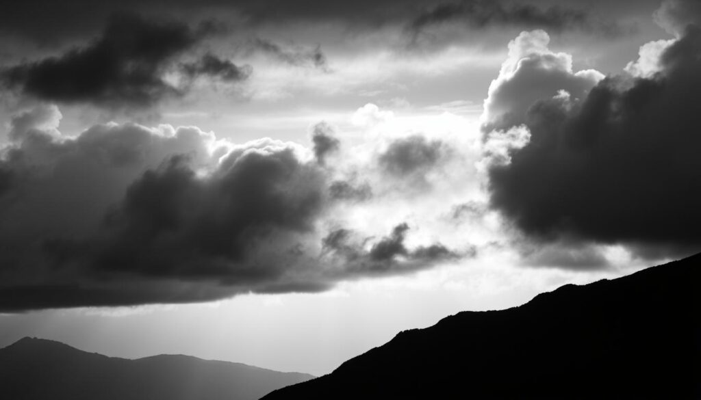 ניגודיות בצילום